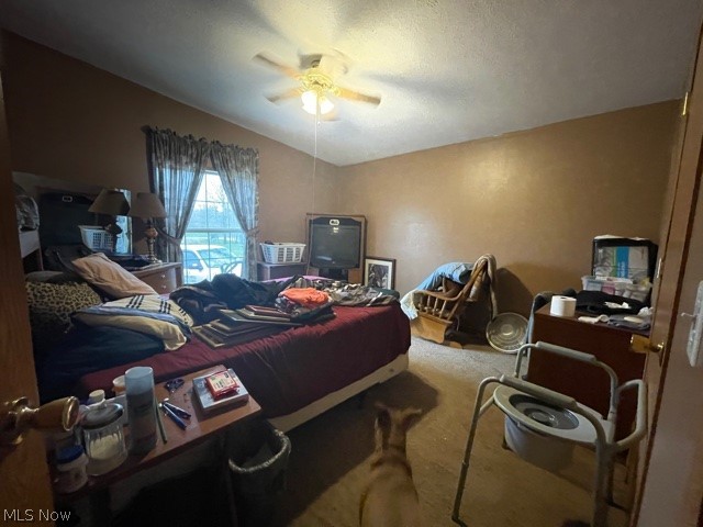 6340 Peck Road Ravenna, OH 44266 - Photo 4 of 14 Gallery Image 4