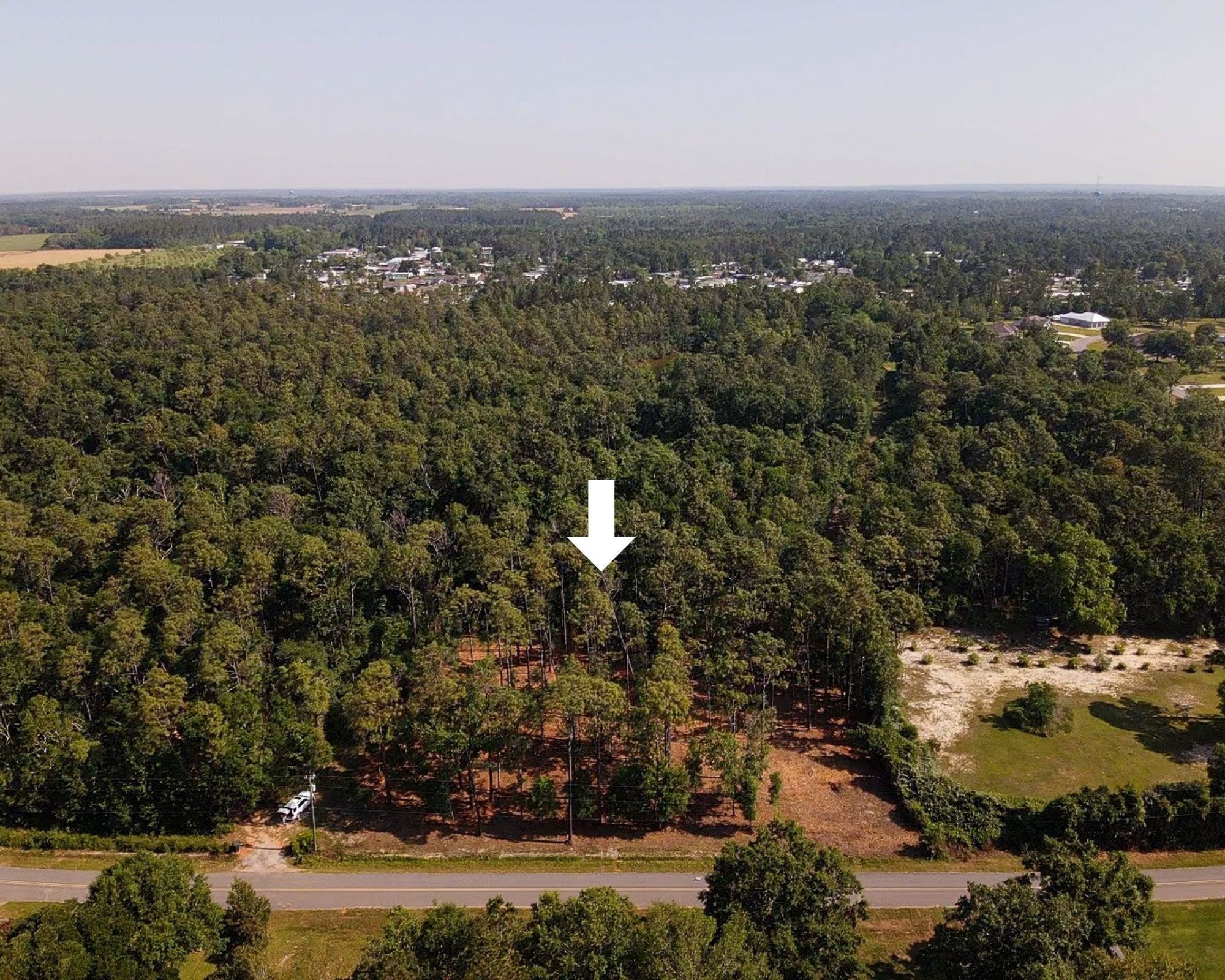 0 Antietam Road Lillian, AL 36549 - Photo 21 of 32