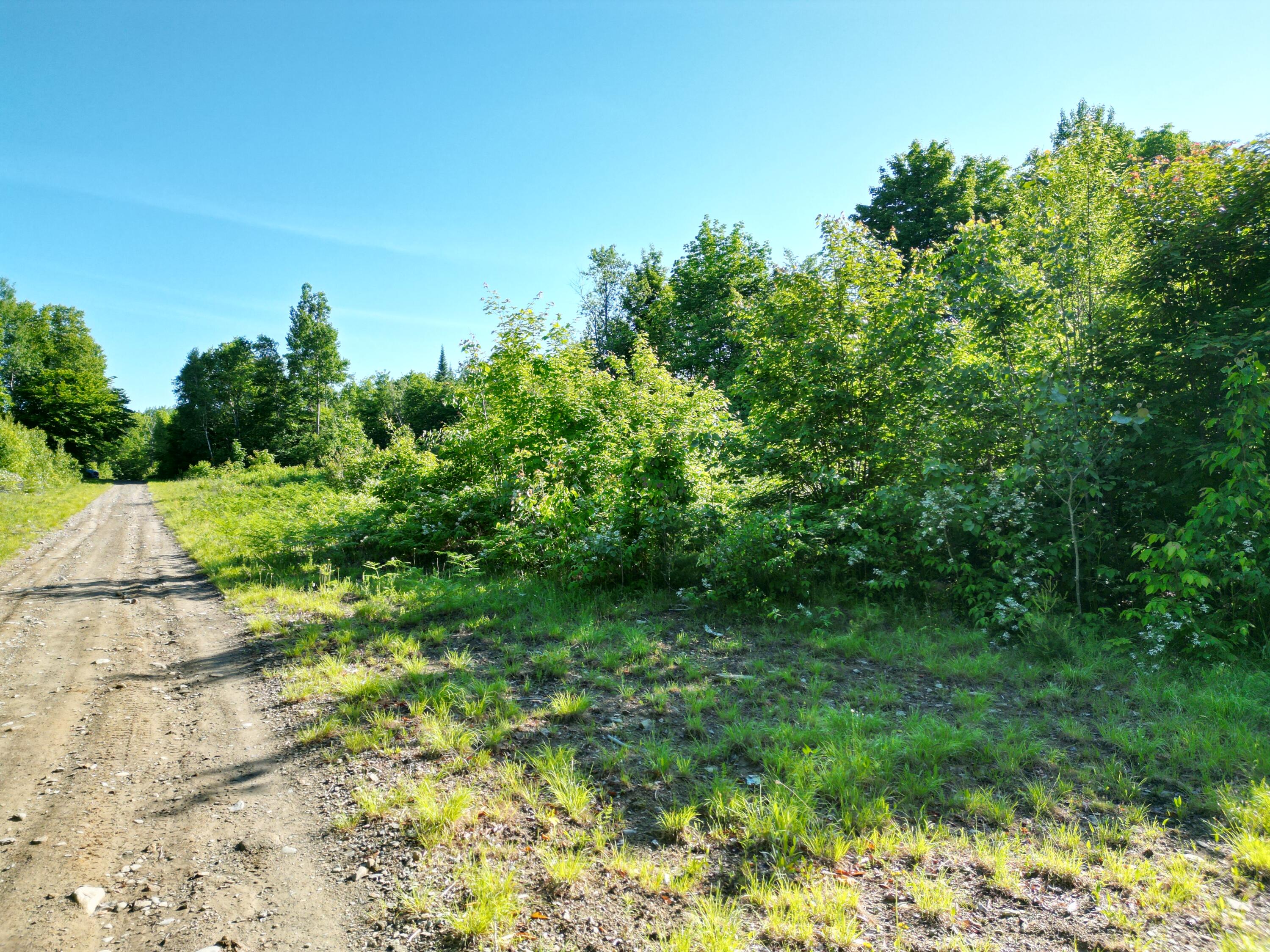 Lot 3 Bear Lane Springfield, ME 04487 - Photo 10 of 15 DJI_0749