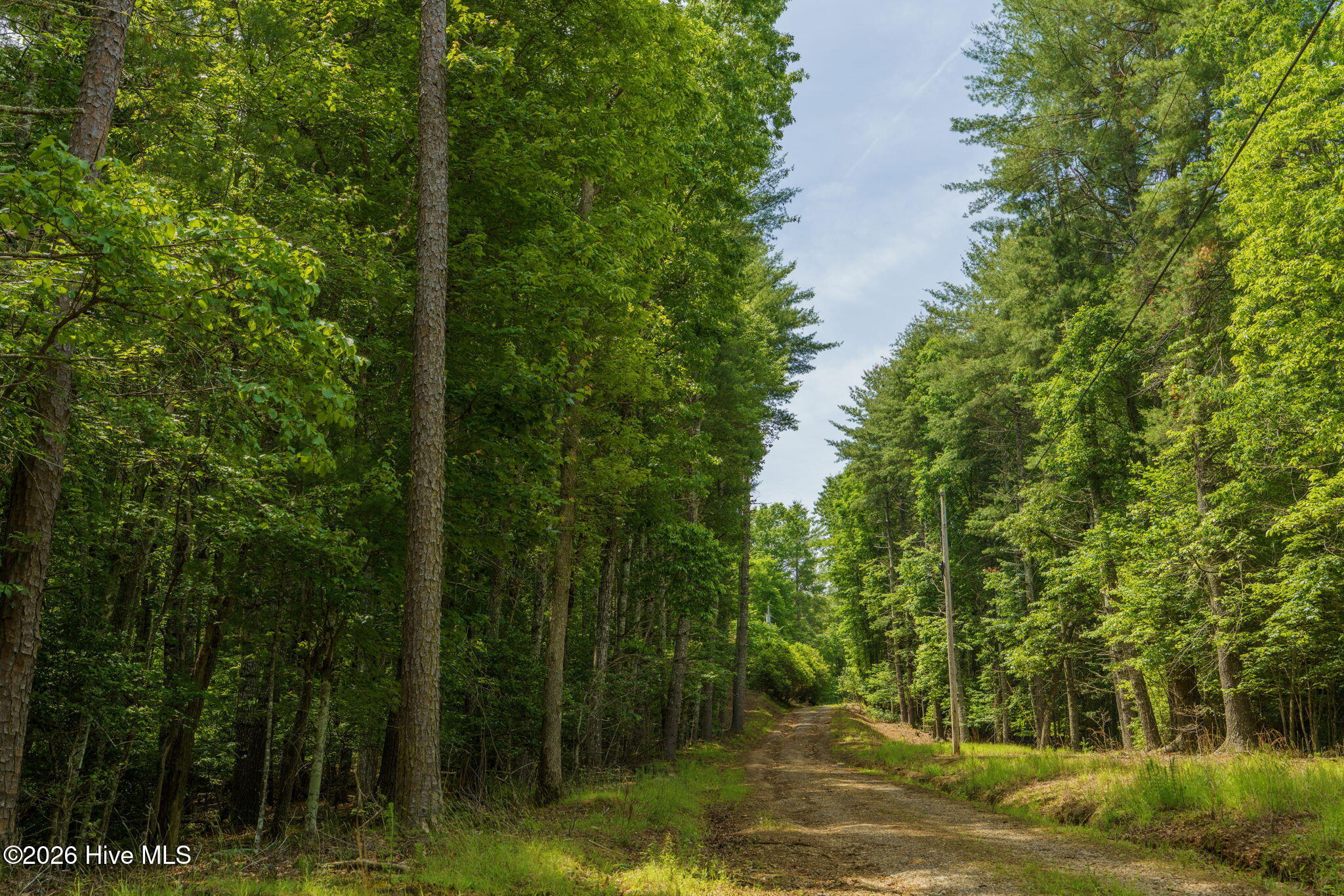Lot 9 Holly Ridge Lane Murphy, NC 28906 - Photo 2 of 6 3-web-or-mls-HollyRidgeLane