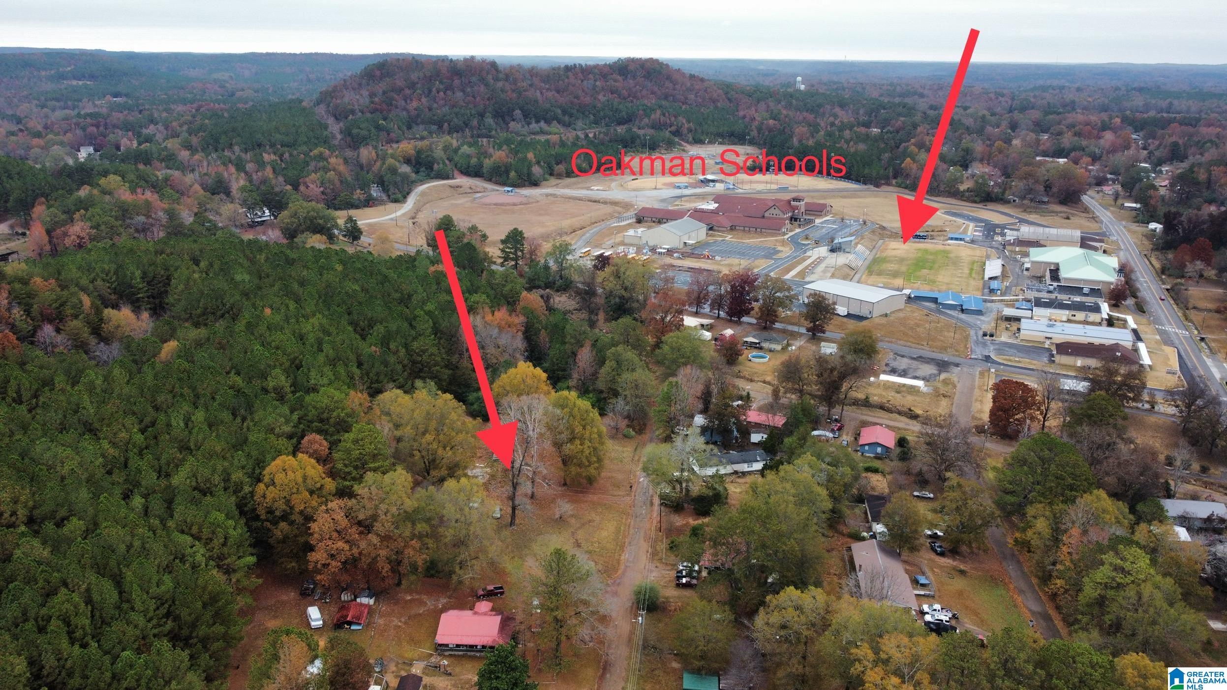 385 Jackson Street, Unit 385 Oakman, AL 35579 - Photo 11 of 19