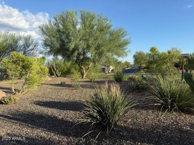 17259 East Woolsey Way Rio Verde, AZ 85263 - Photo 24 of 28 a view of a yard with plants and trees