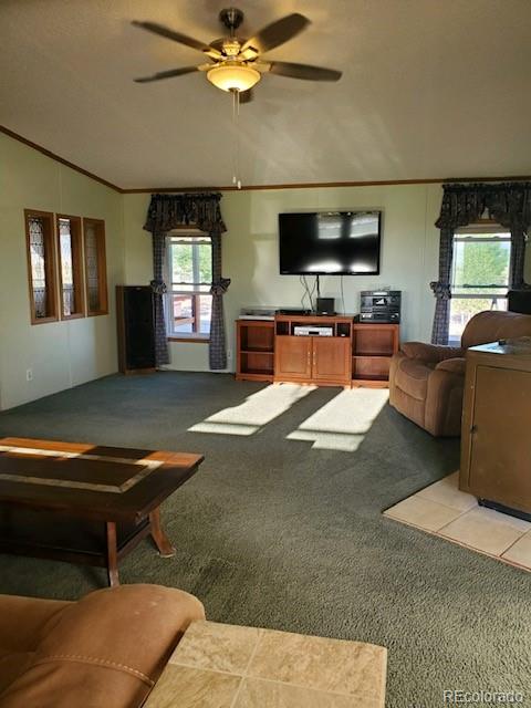 56514 County Road Moffat, CO 81143 - Photo 12 of 30 Gallery Image 12