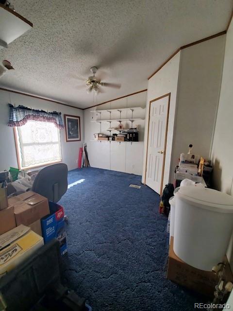 56514 County Road Moffat, CO 81143 - Photo 20 of 30 Gallery Image 20