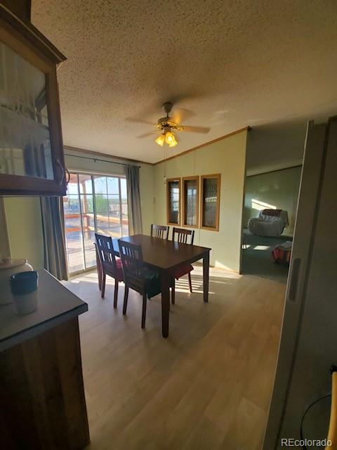 56514 County Road Moffat, CO 81143 - Photo 8 of 30 Gallery Image 8
