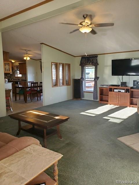 56514 County Road Moffat, CO 81143 - Photo 10 of 30 Gallery Image 10