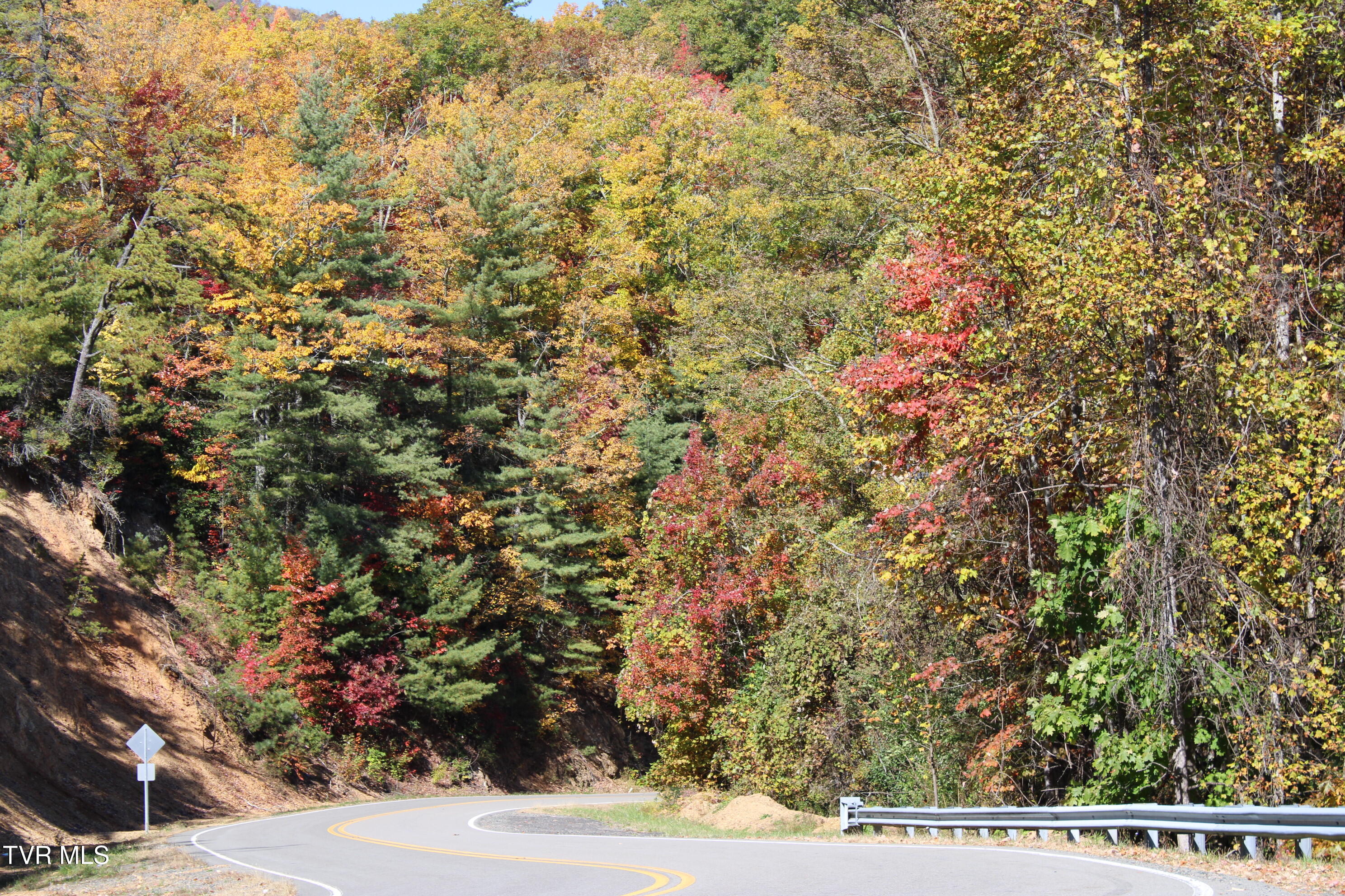 807 Vista Road Butler, TN 37640 - Photo 52 of 61 Road to 807 Vista in the fall