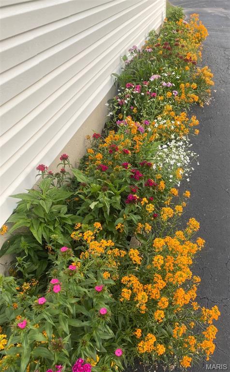 701 East Dent Street Salem, MO 65560 - Photo 32 of 32