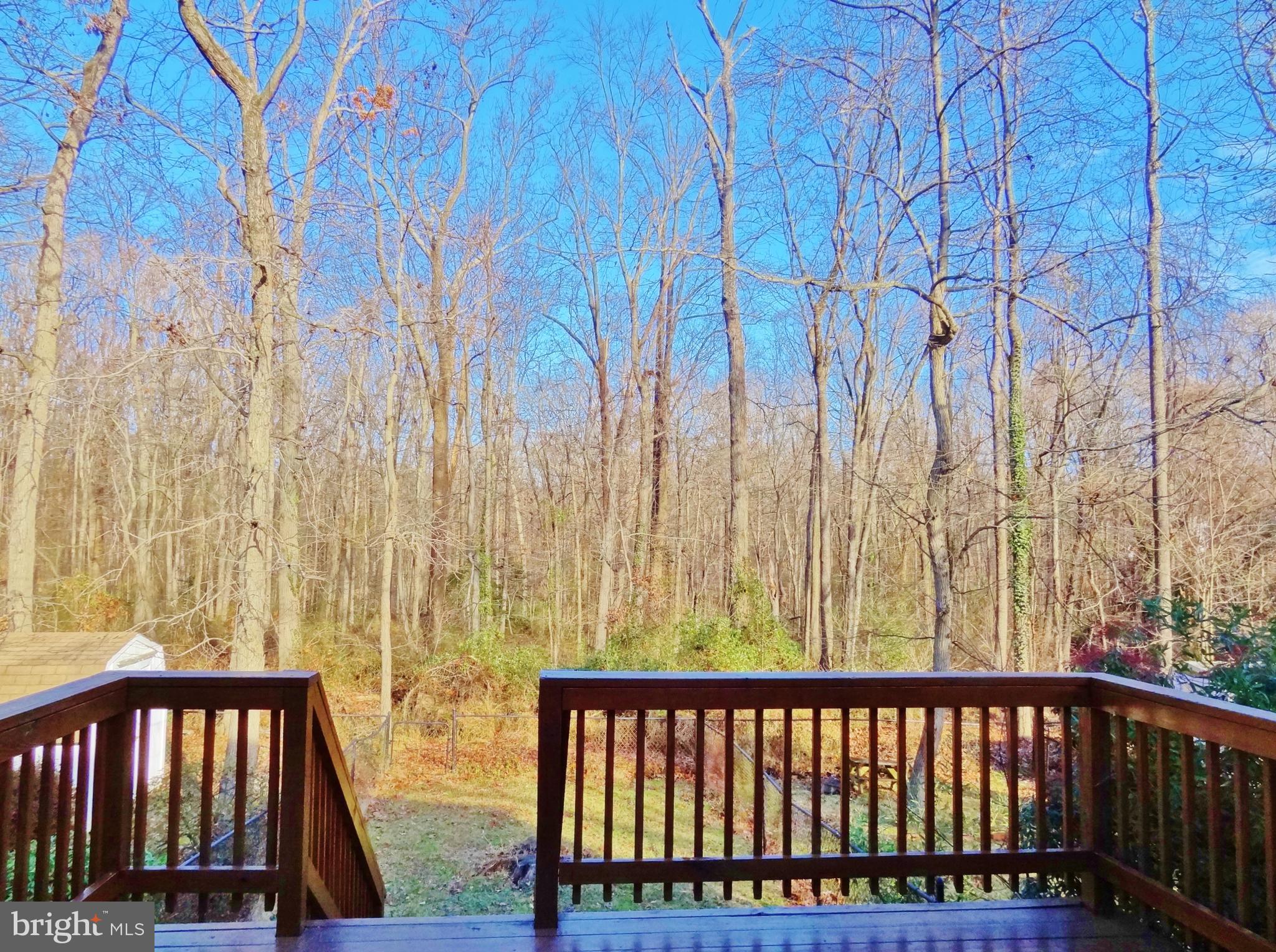 58 Ridge Road, Unit B Greenbelt, MD 20770 - Photo 2 of 15 Backyard Deck