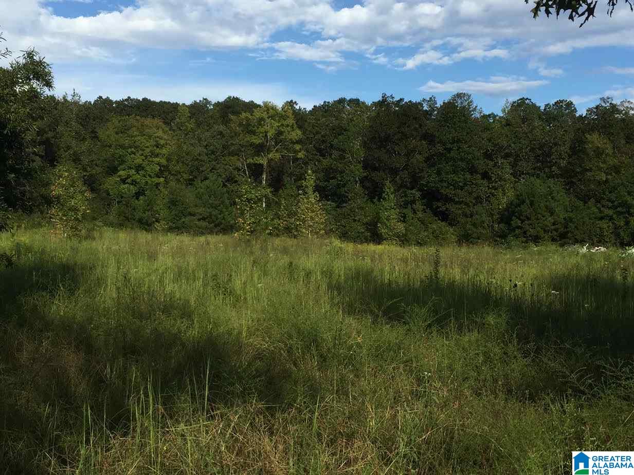 345 Beasley Road, Unit 178 Attalla, AL 35954 - Photo 12 of 20
