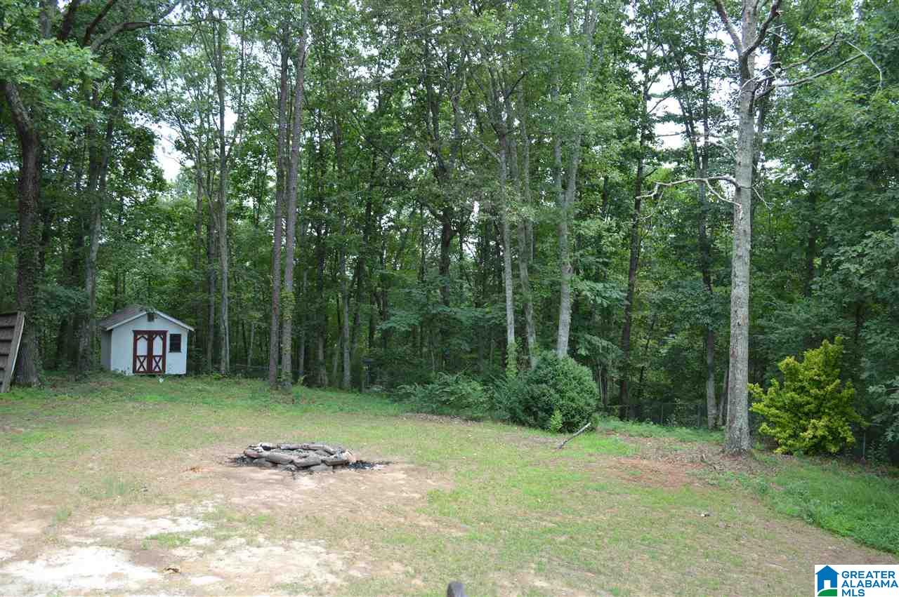 7460 Roper Tunnel Road Trussville, AL 35173 - Photo 42 of 50