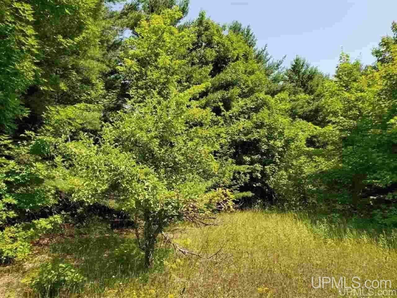 Tbd No 2-3 4 Obenhoff Road Atlantic Mine, MI 49905 - Photo 7 of 32