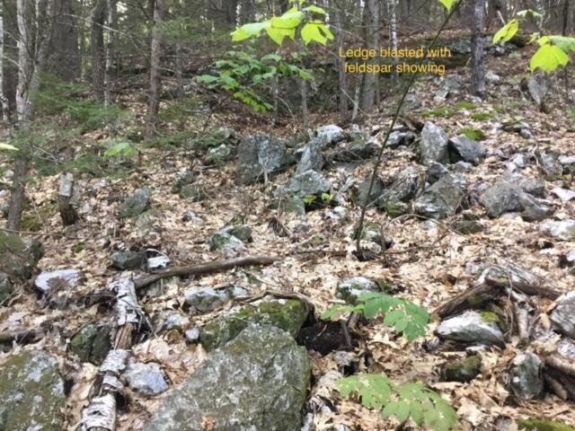 0 Off Mountain Stoneham, ME 04231 - Photo 10 of 32 early mica blast