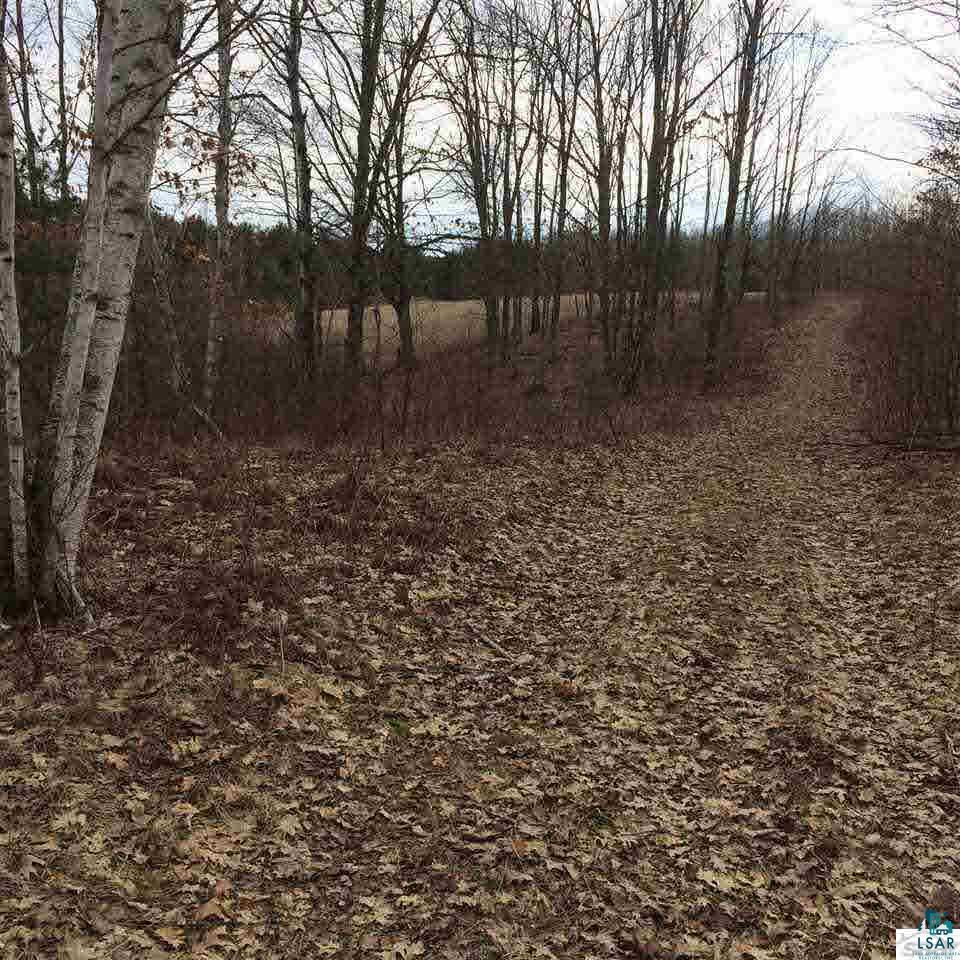 0 South Harter Road Gordon, WI 54838 - Photo 1 of 6 DRIVING TRAIL IN FROM HARTER RD.