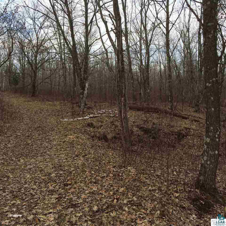 0 South Harter Road Gordon, WI 54838 - Photo 3 of 6 Gallery Image 3
