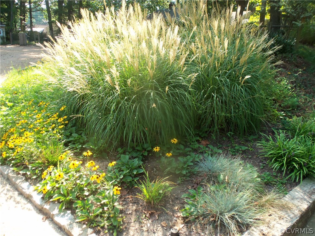 4101 Uppingham Road Richmond, VA 23235 - Photo 19 of 24 Gallery Image 19