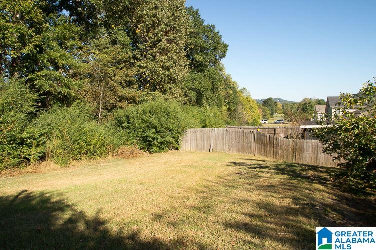 203 Ivy Brook Trail Pelham, AL 35124 - Photo 23 of 25