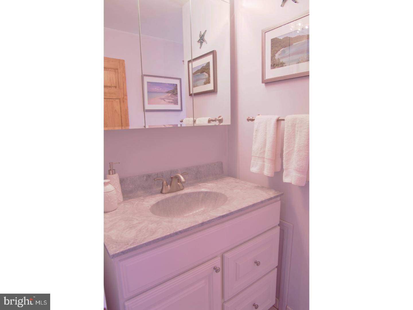 3 Firethorne Road Cherry Hill, NJ 08003 - Photo 17 of 25 Bathroom