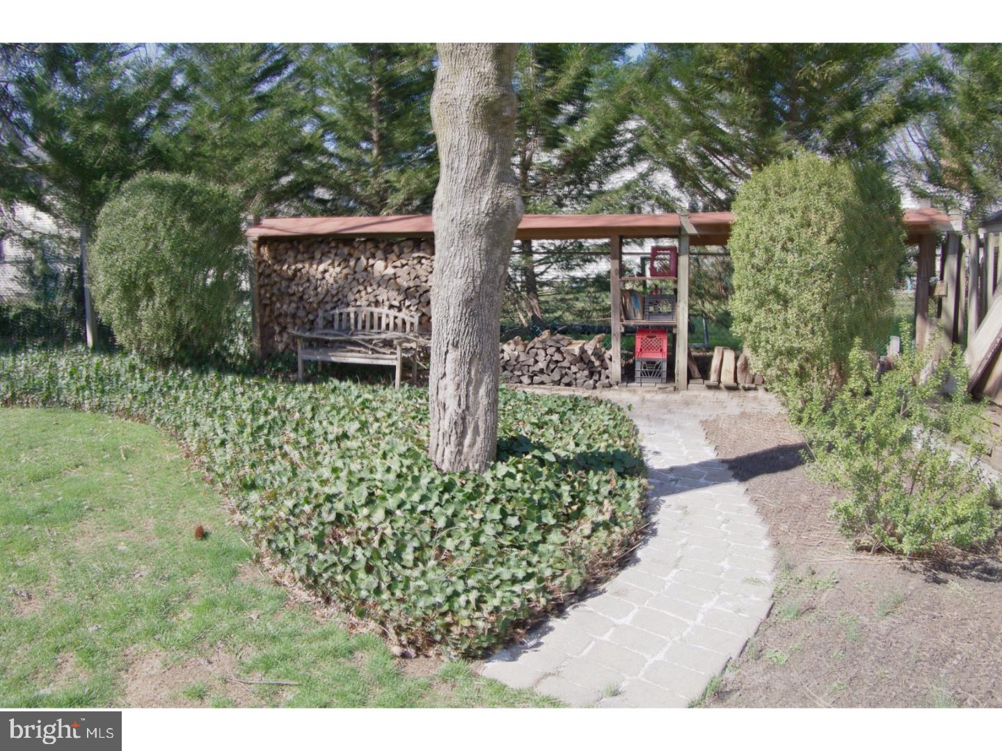 3 Firethorne Road Cherry Hill, NJ 08003 - Photo 23 of 25 Back Yard