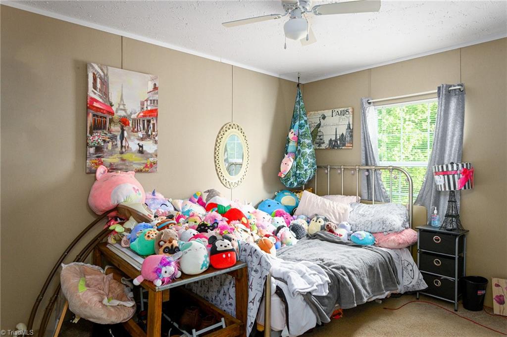 355 Haden Grove Church Road Linwood, NC 27299 - Photo 16 of 17 Gallery Image 16