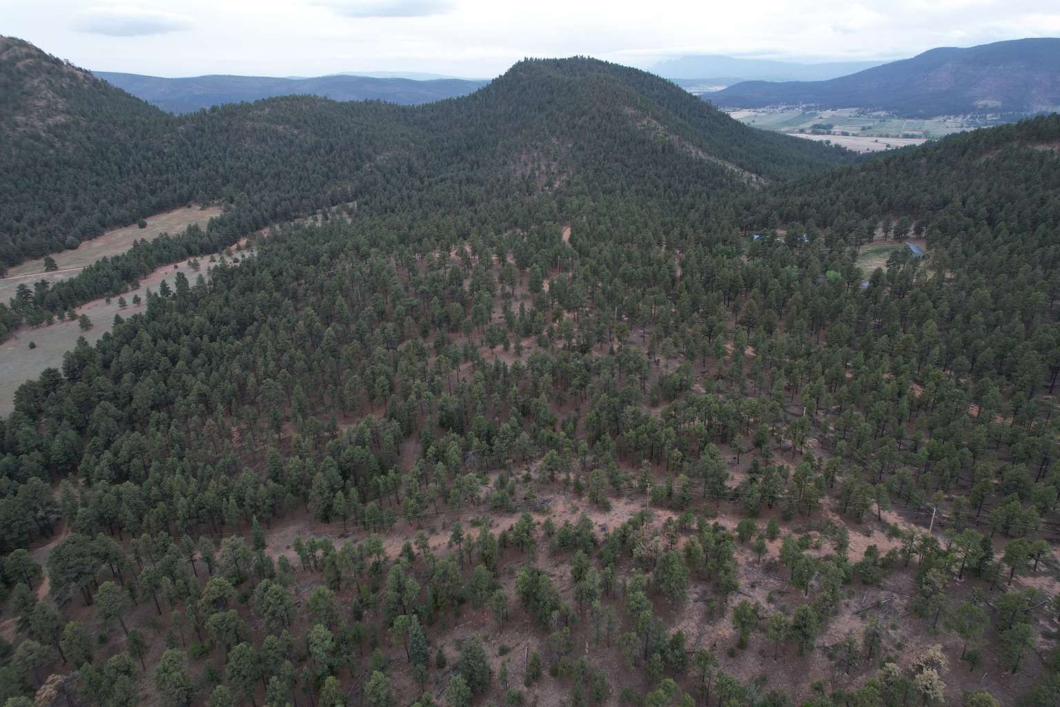 0 A015 County Road Mora, NM 87732 - Photo 15 of 40