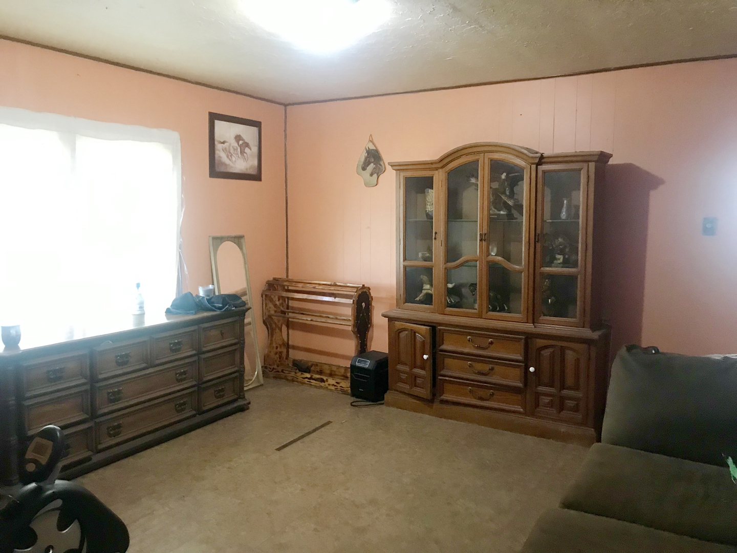733 Easy Road Ohio, IL 61349 - Photo 11 of 31