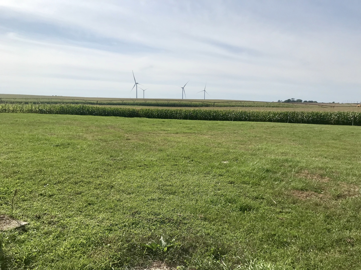 733 Easy Road Ohio, IL 61349 - Photo 29 of 31