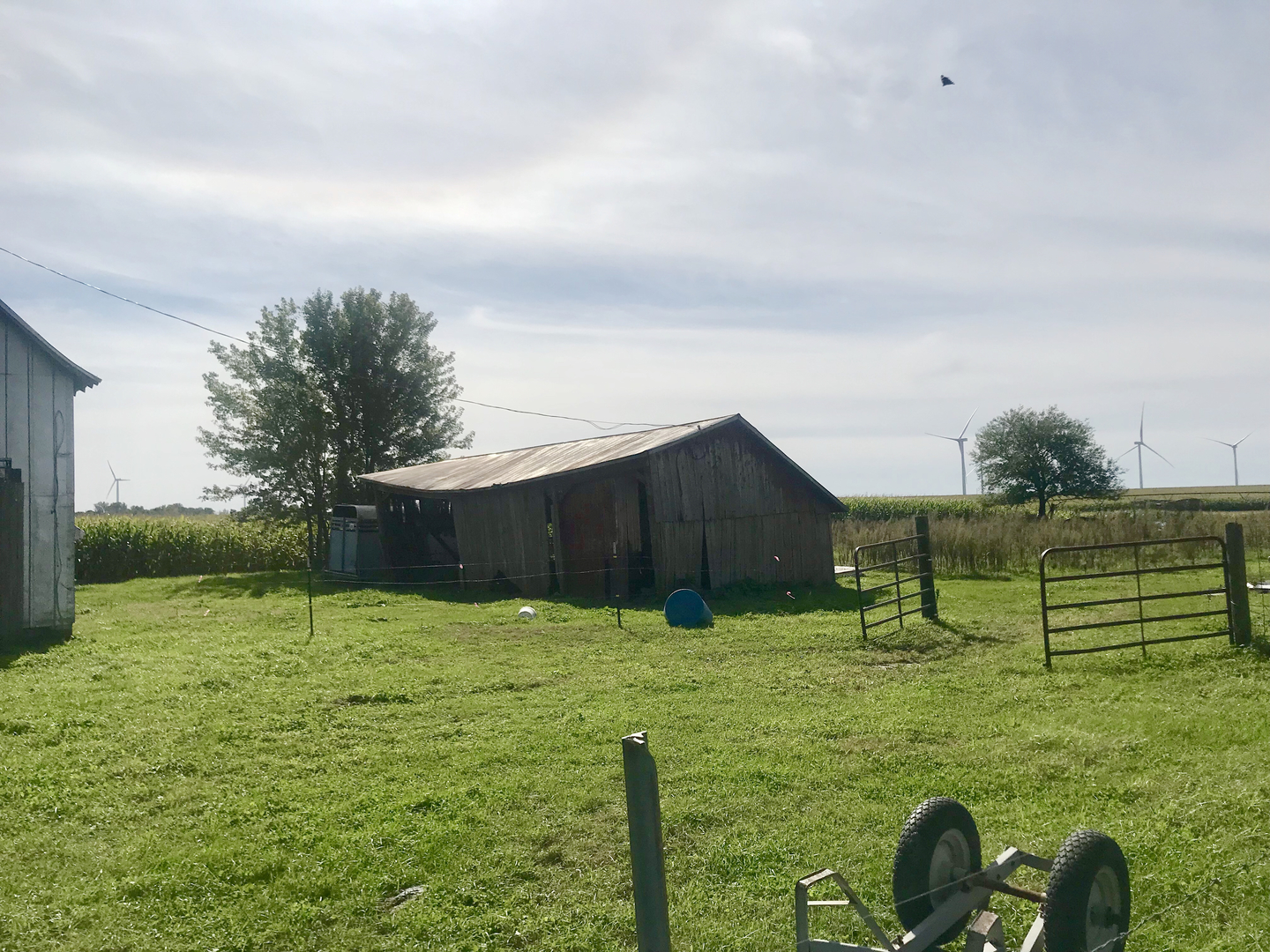 733 Easy Road Ohio, IL 61349 - Photo 31 of 31