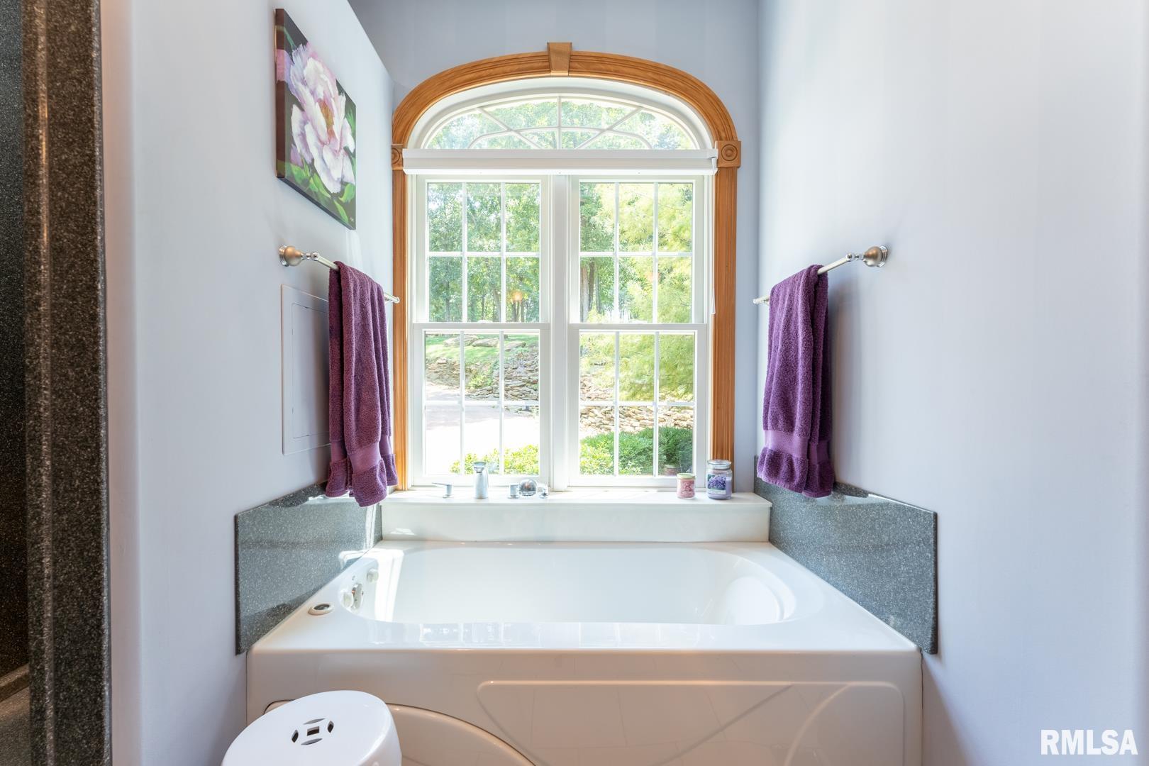 65 Kings Court Road Goreville, IL 62939 - Photo 64 of 74 Gallery Image 64