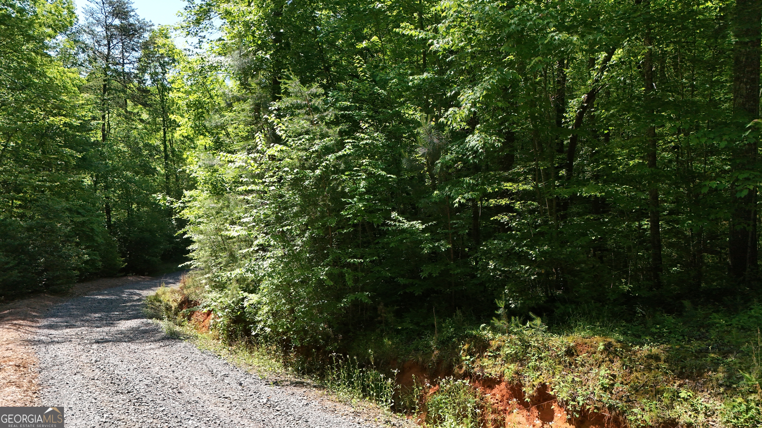 0 Gold Springs Road Ellijay, GA 30540 - Photo 3 of 13