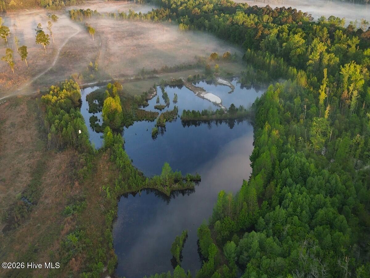 0 Durwood Evans Road Beulaville, NC 28518 - Photo 12 of 68 12. white crane over ponds 2.)
