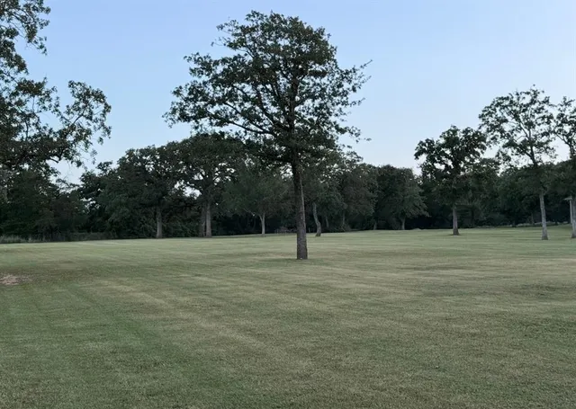 a view of outdoor space with trees