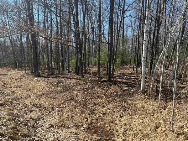$25,000 | Pineway Drive, Gladwin, MI 48624