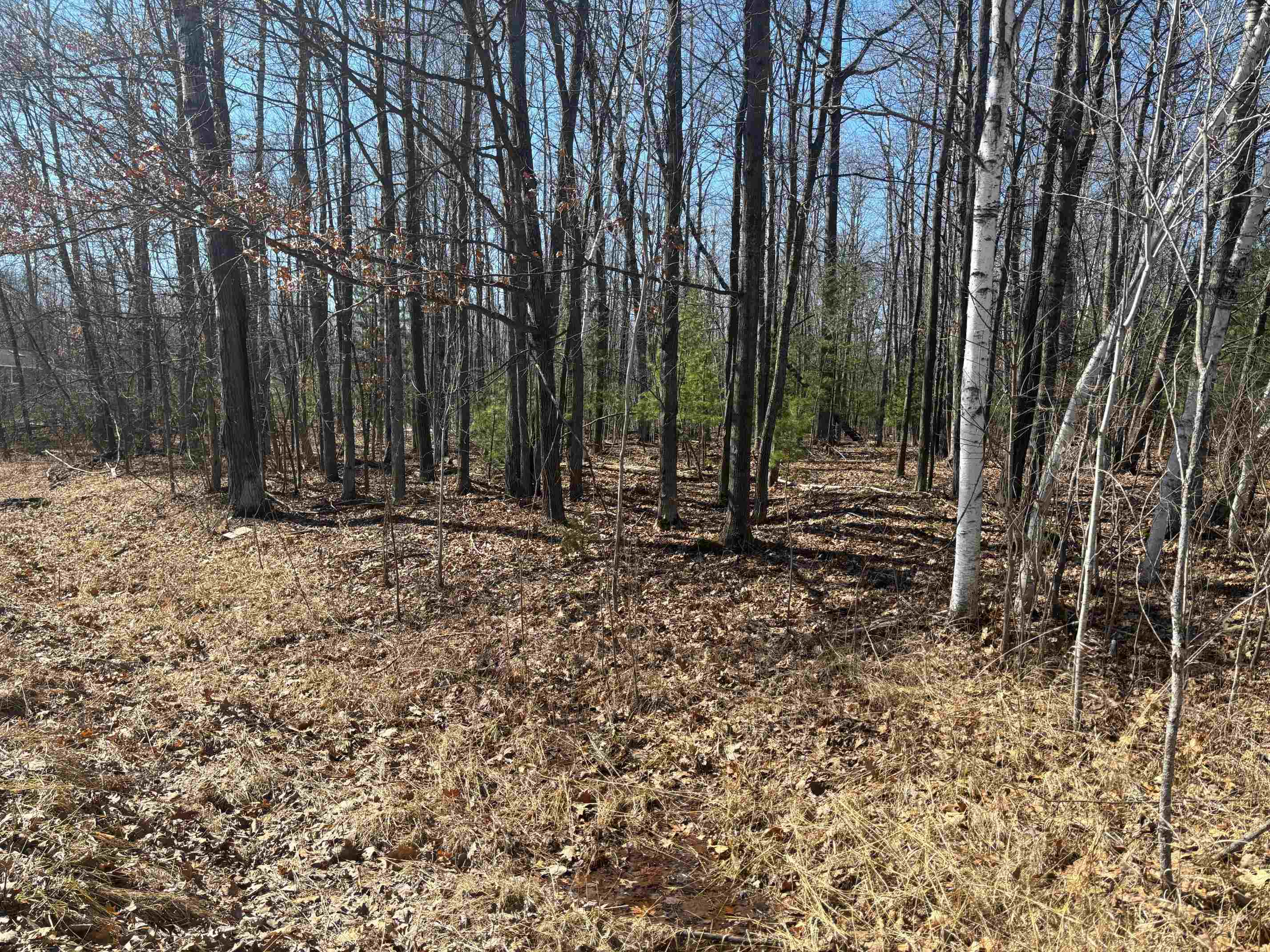 Pineway Drive Gladwin, MI 48624 - Photo 1 of 6