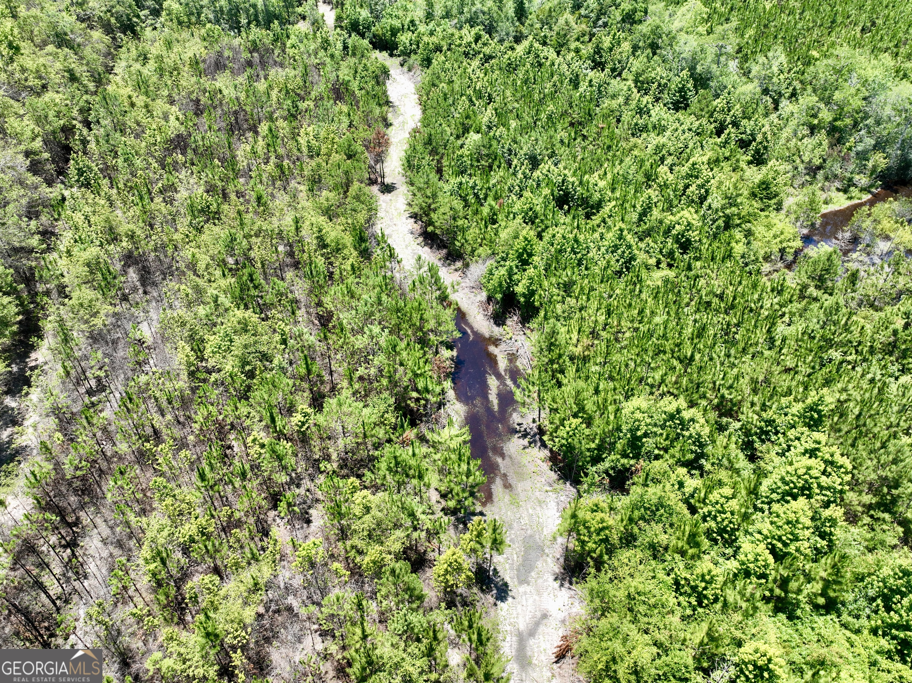 0 West River Road Rhine, GA 31077 - Photo 13 of 31