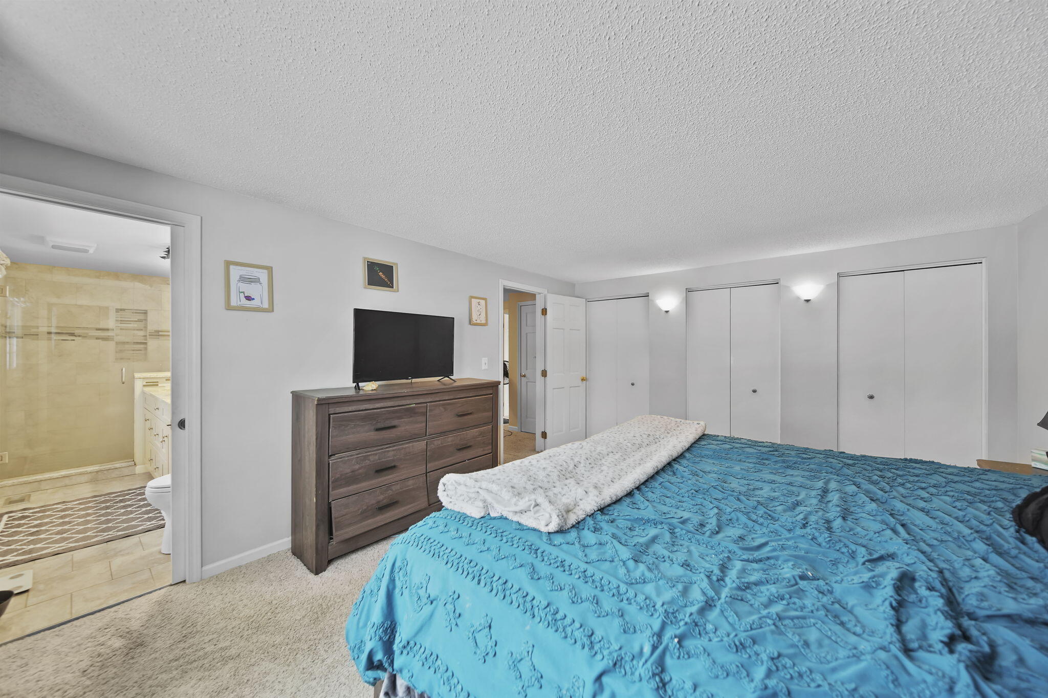 520 Meadowbrook Drive Adrian, MI 49221 - Photo 26 of 43 28-web-or-mls-DSC06171