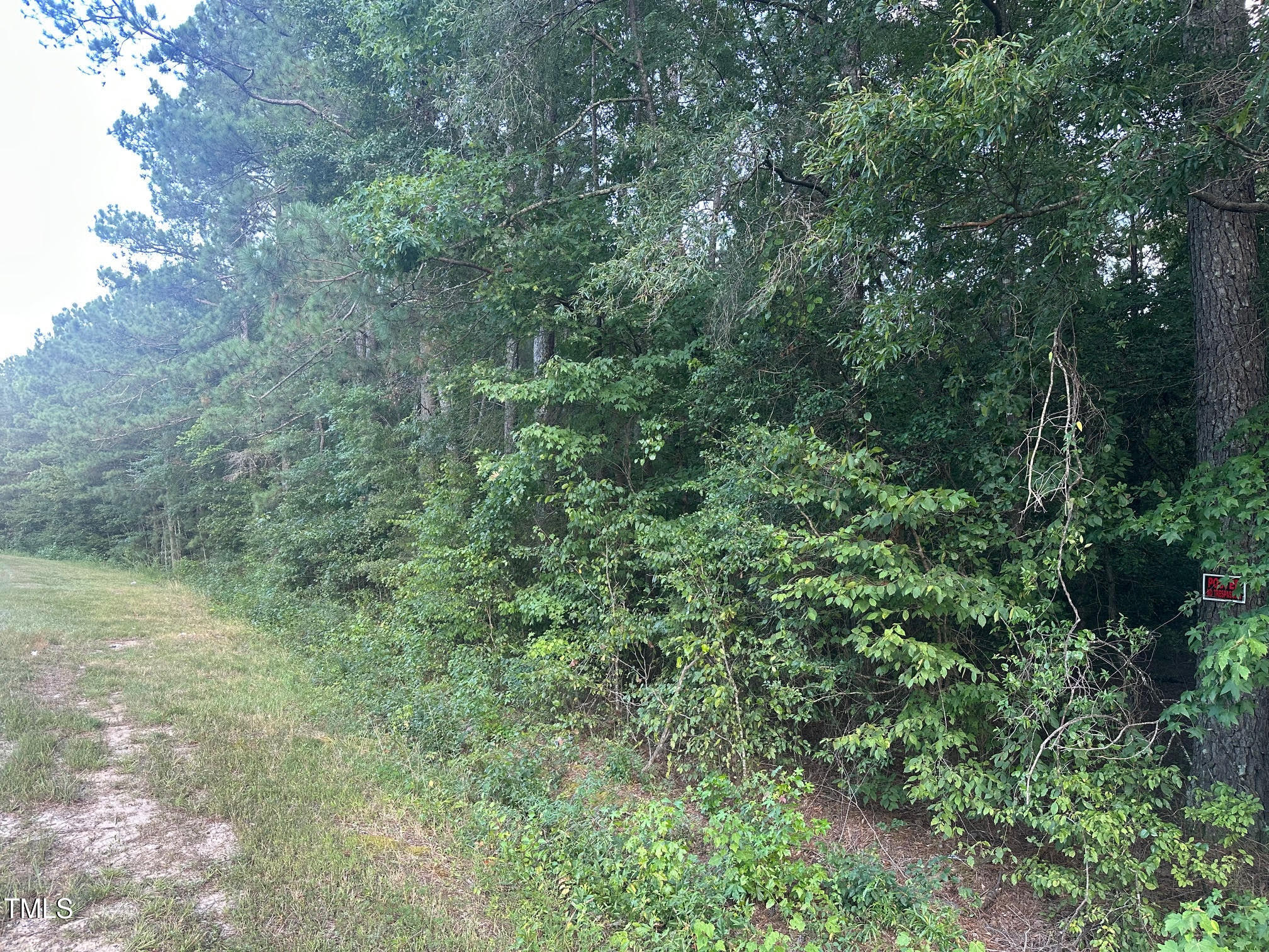 0 Sledge Road Louisburg, NC 27549 - Photo 2 of 9 Sledge 1