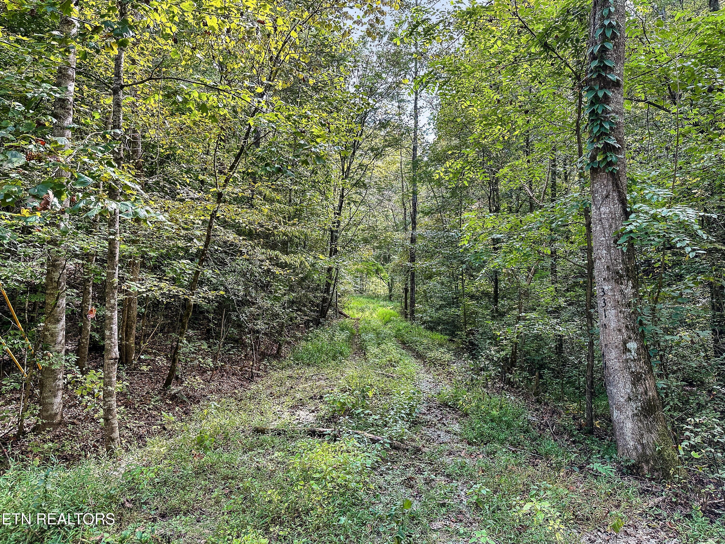Chestnut Ridge Road Walland, TN 37886 - Photo 1 of 3 305CR-53