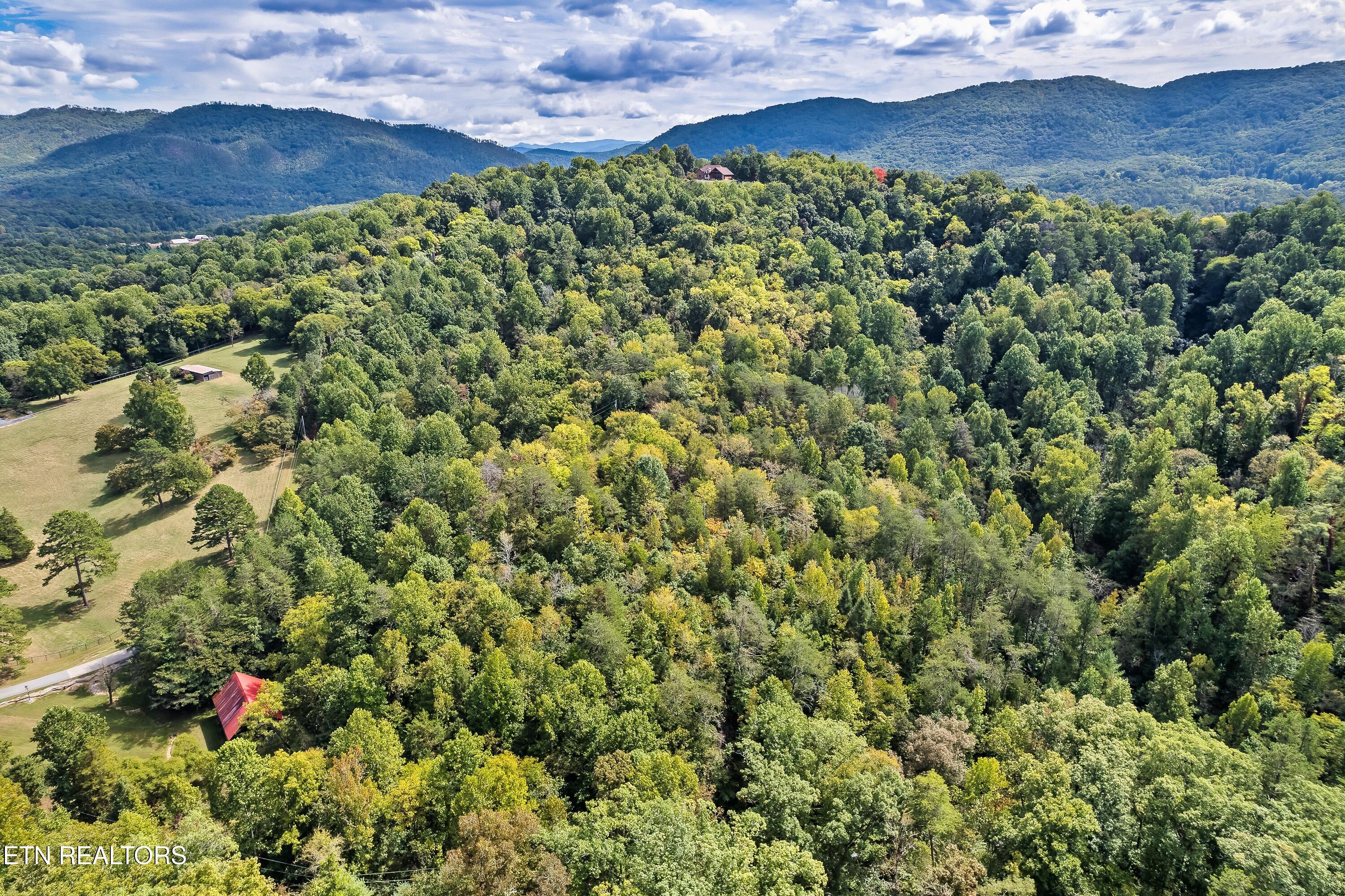 Chestnut Ridge Road Walland, TN 37886 - Photo 2 of 3 305CR-49