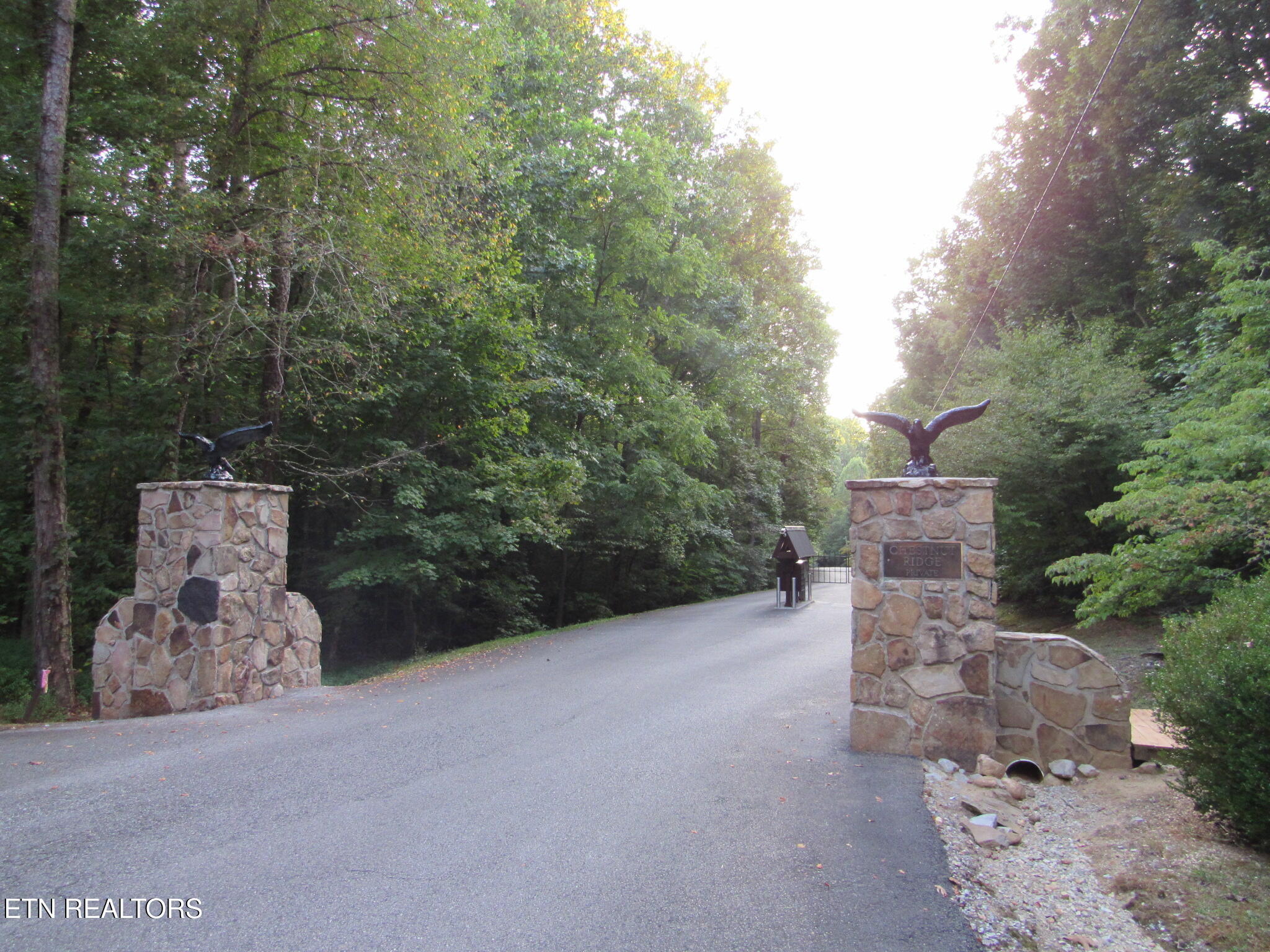 Chestnut Ridge Road Walland, TN 37886 - Photo 3 of 3 IMG_5058