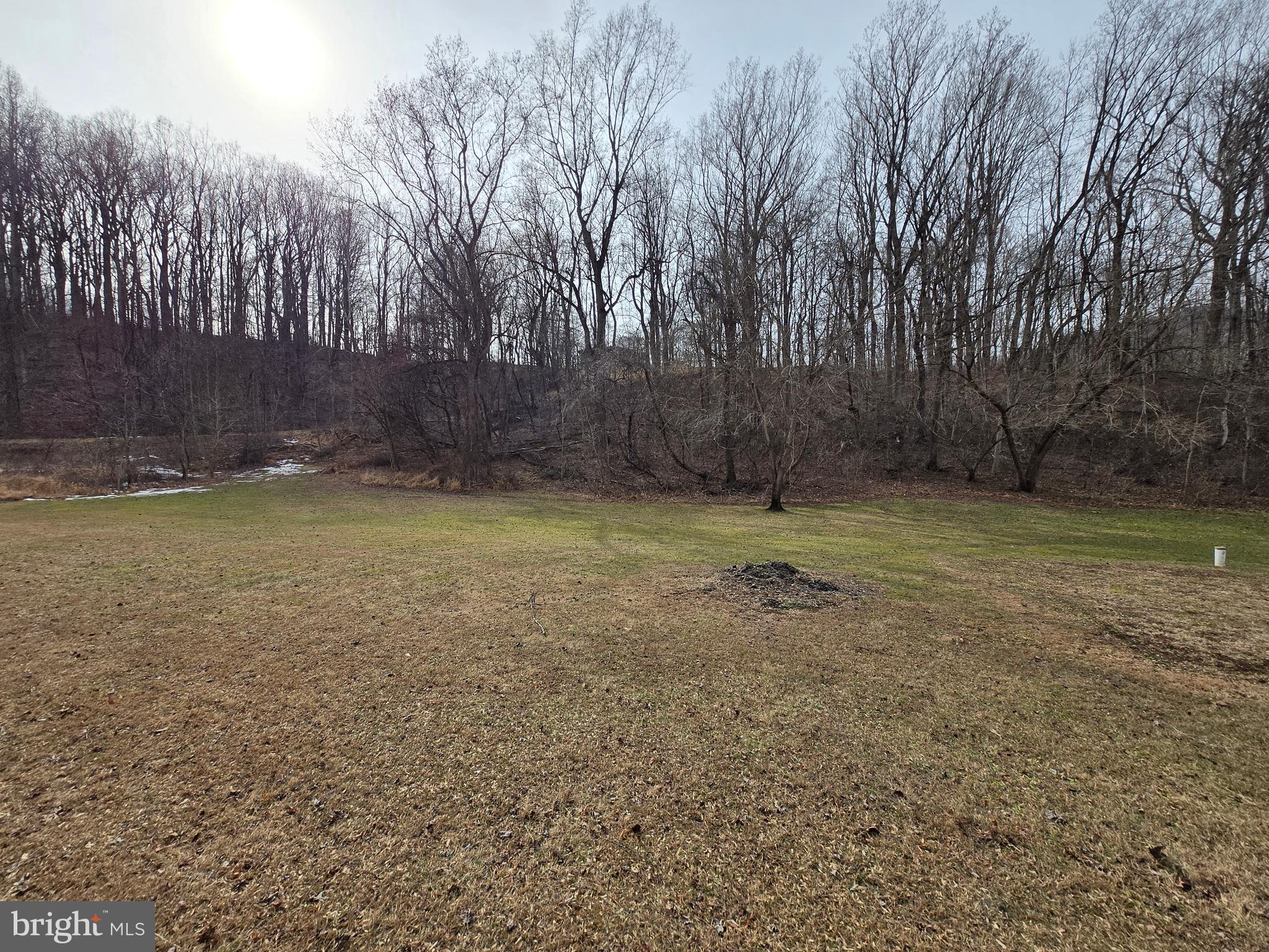 2996 Etlan Road Etlan, VA 22719 - Photo 17 of 24 a view of a backyard with large trees