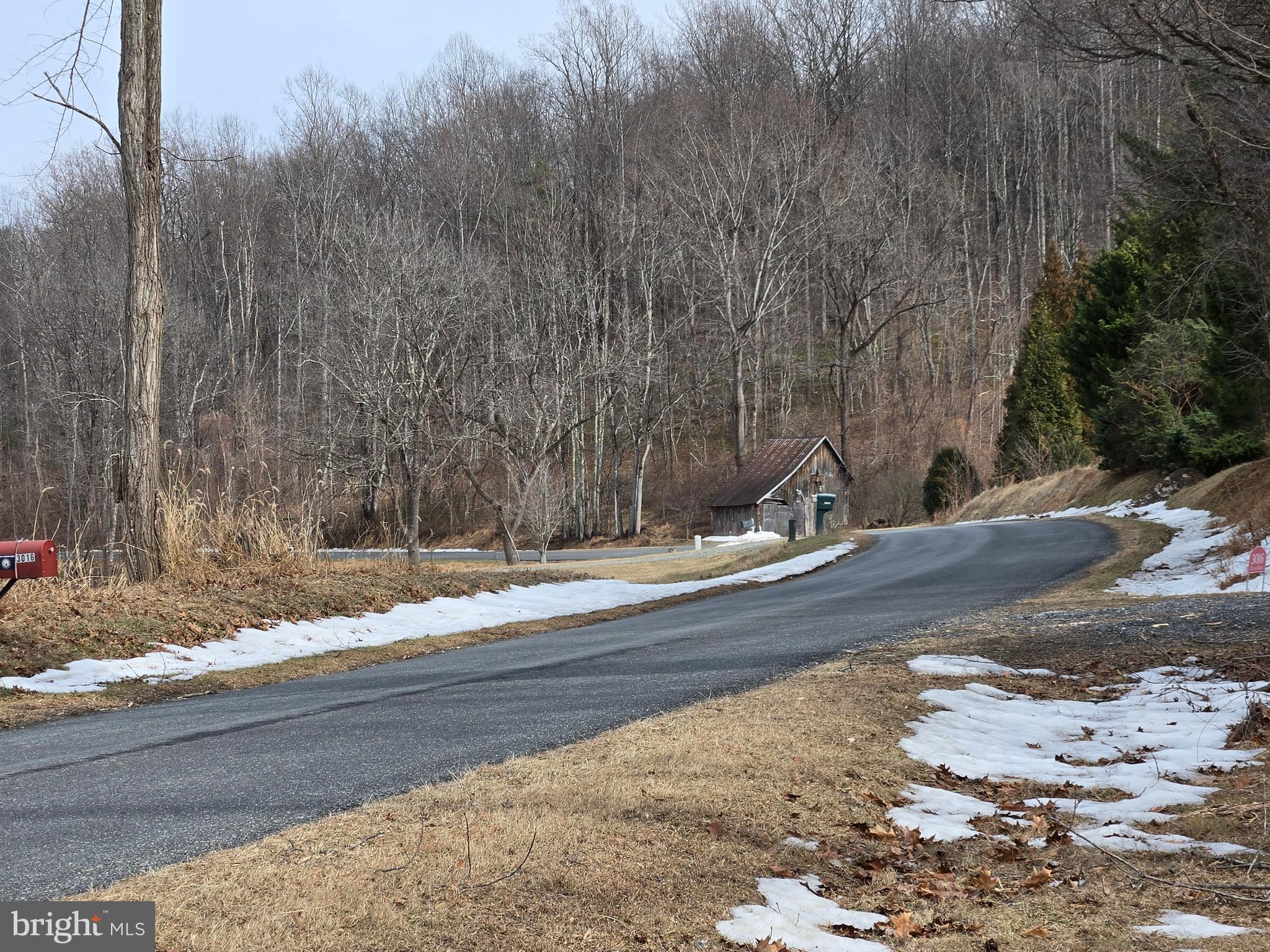 2996 Etlan Road Etlan, VA 22719 - Photo 20 of 24 a view of a backyard of the house
