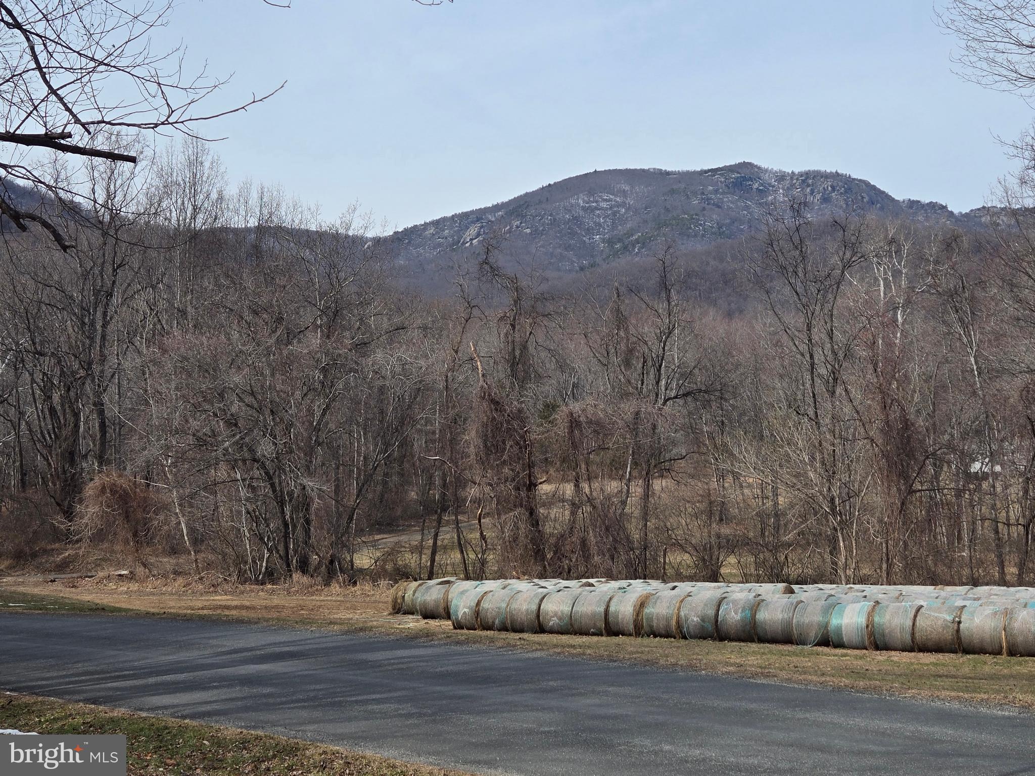 2996 Etlan Road Etlan, VA 22719 - Photo 23 of 24 a view of a yard