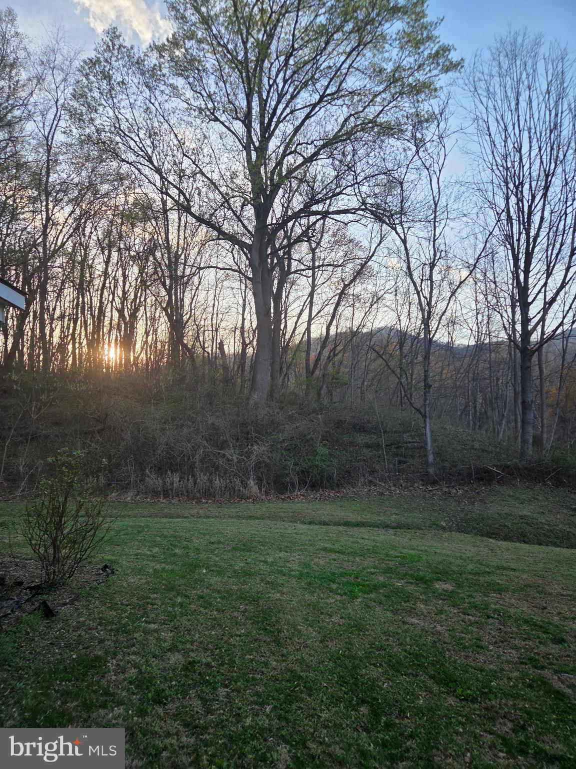 2996 Etlan Road Etlan, VA 22719 - Photo 27 of 27 a view of a backyard