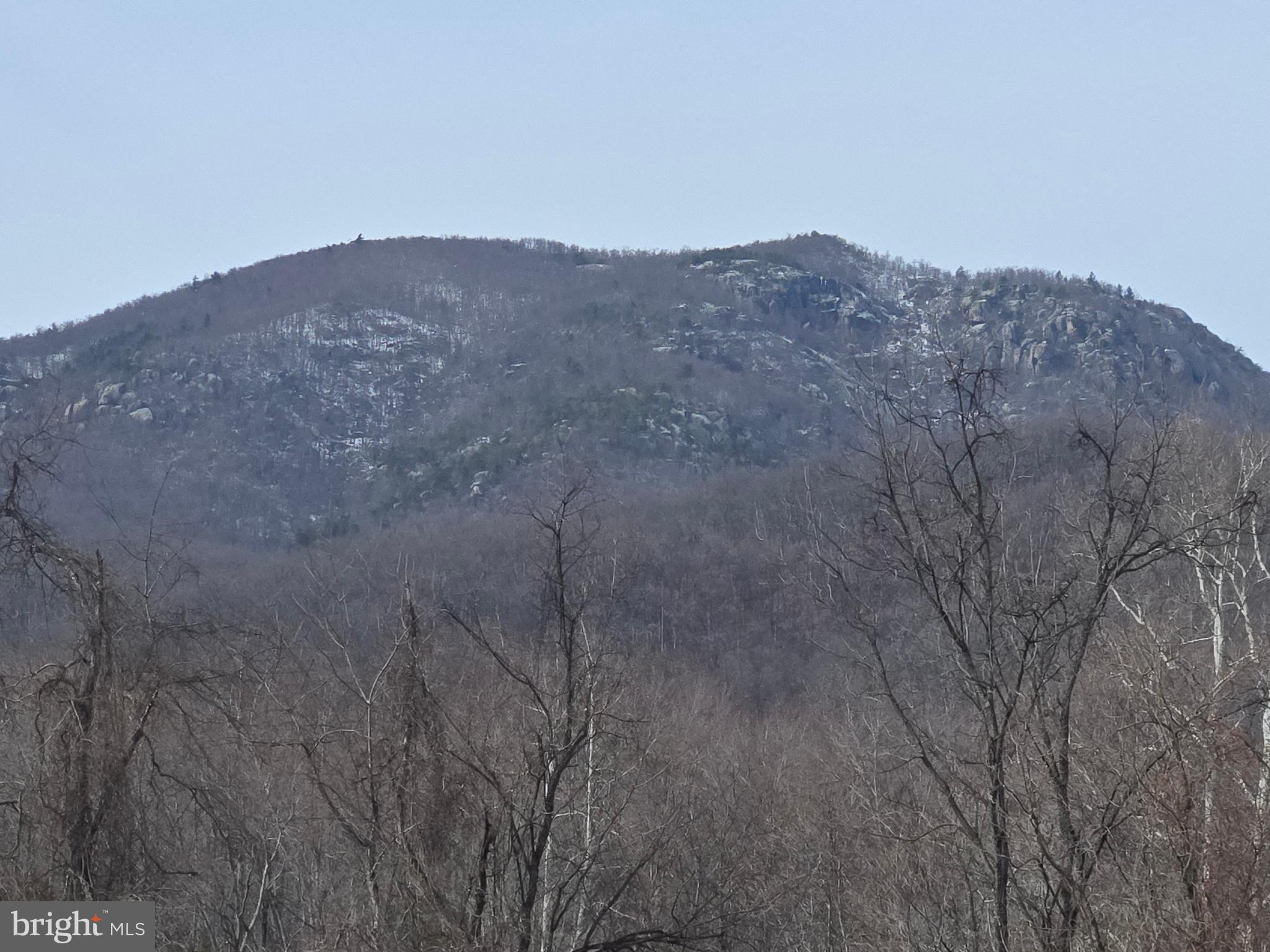 2996 Etlan Road Etlan, VA 22719 - Photo 3 of 24 a view of a dry field