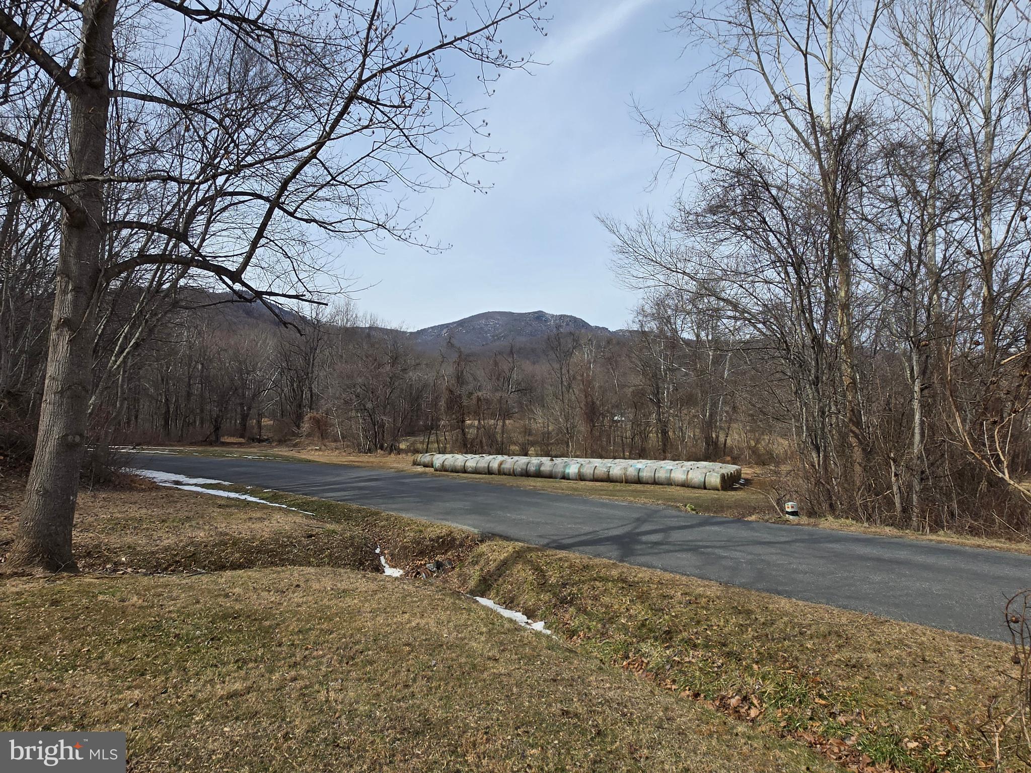 2996 Etlan Road Etlan, VA 22719 - Photo 4 of 24 a view of dirt field with trees around