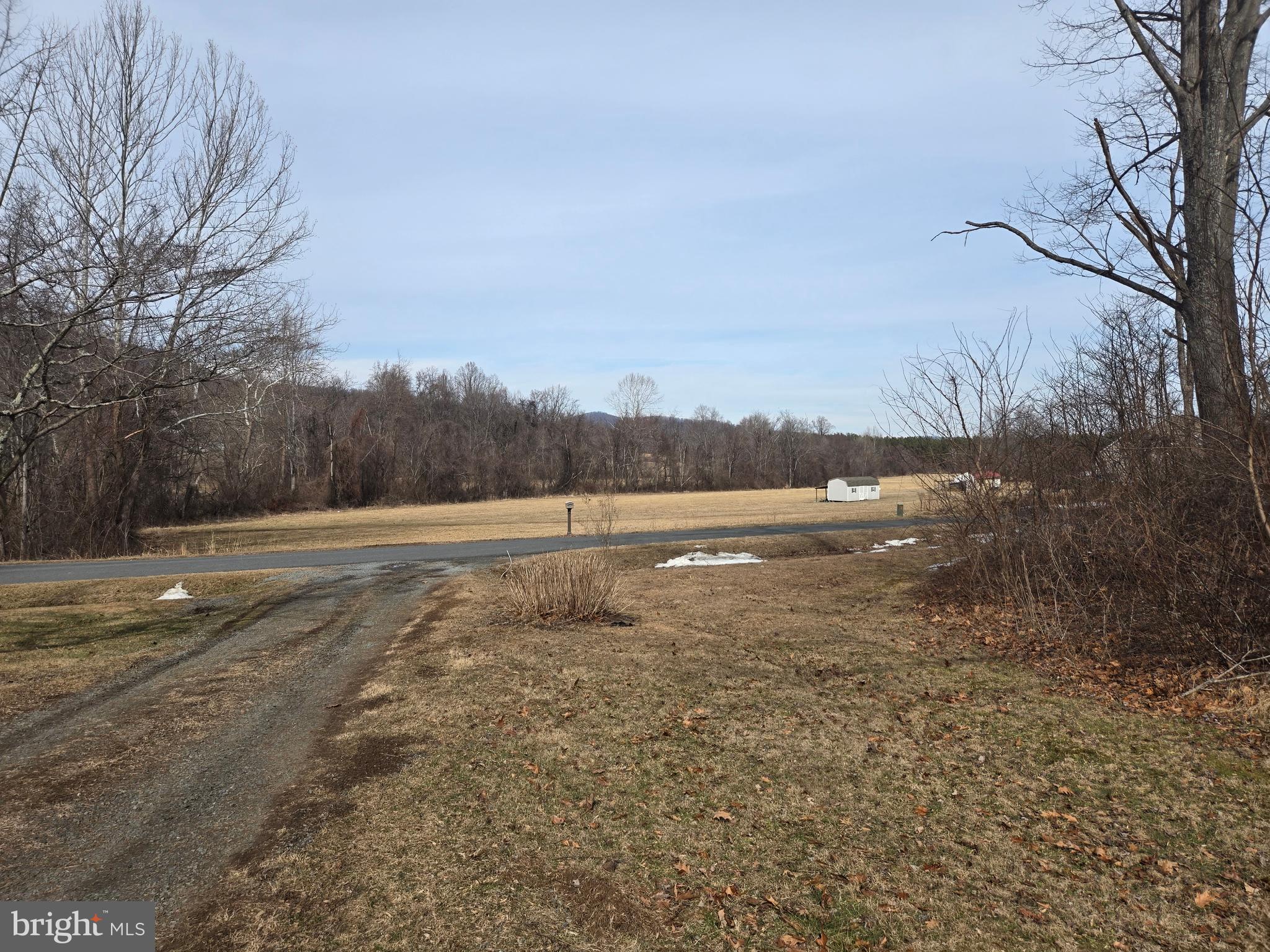 2996 Etlan Road Etlan, VA 22719 - Photo 5 of 24 a view of a yard with large trees