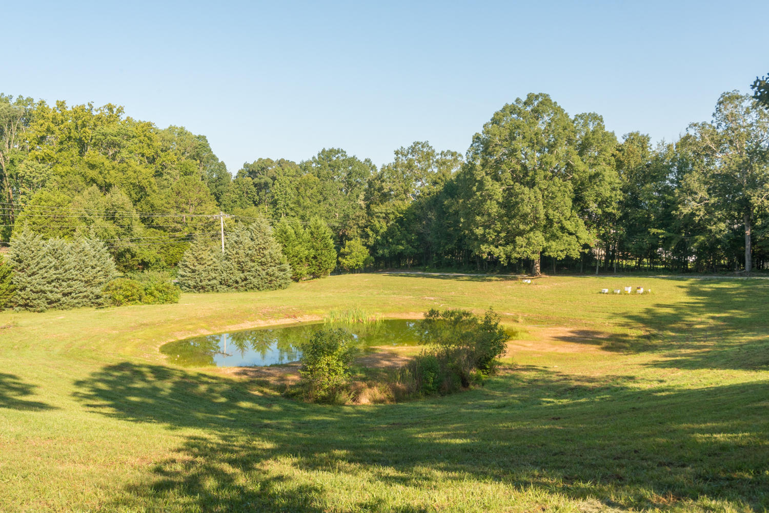 5103 Long Hollow Road Rock Spring, GA 30739 - Photo 31 of 42 5103_Long_Hollow_Rd_12