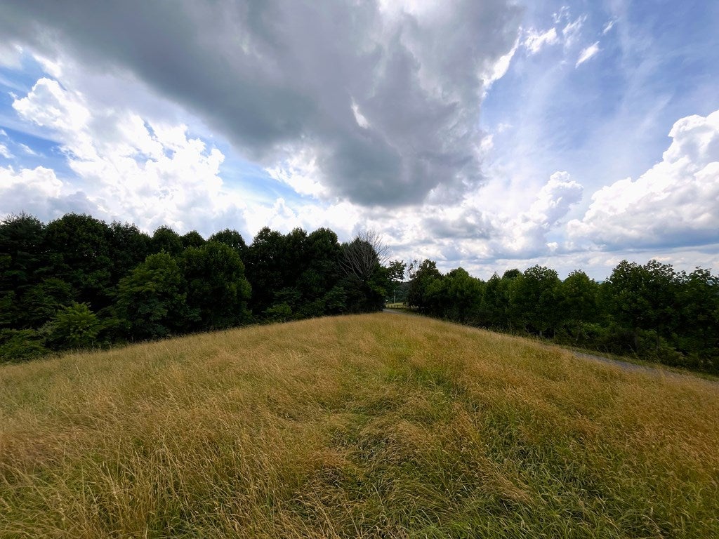 Tbd Silver Leaf Road Dugspur, VA 24325 - Photo 11 of 19 Gallery Image 11