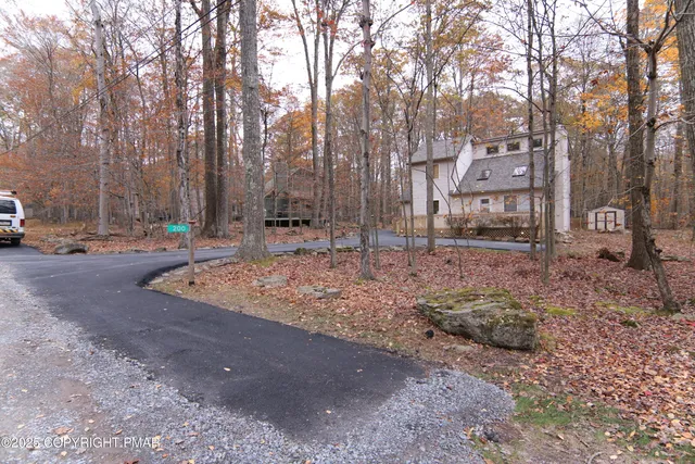 a view of a backyard with large trees